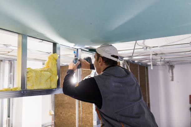 Types of Insulation We Offer in Bloomfield Hills, MI